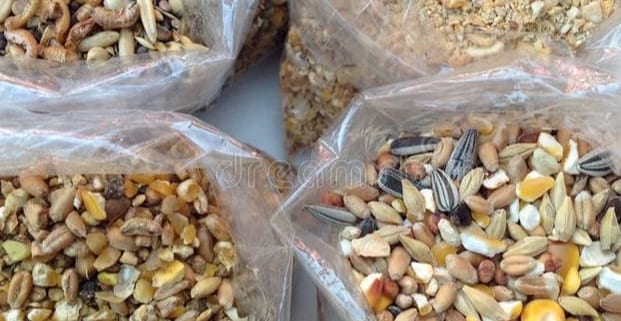 Chicken Grain