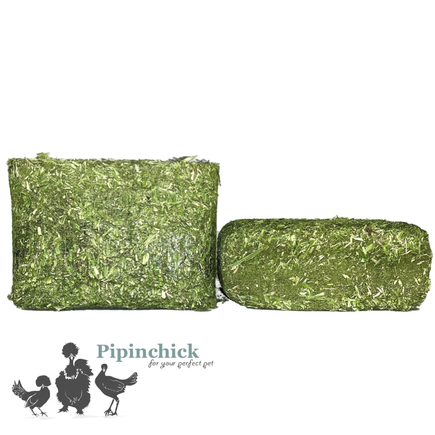 Lucerne Alfalfa grit Block 1