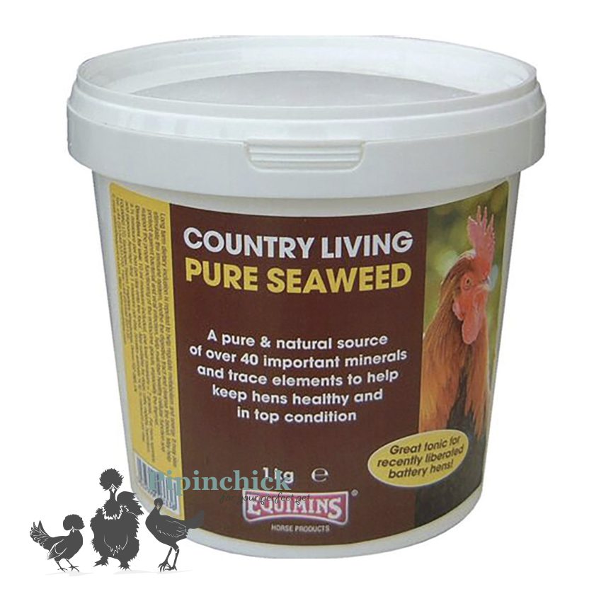 Equimms Seaweed