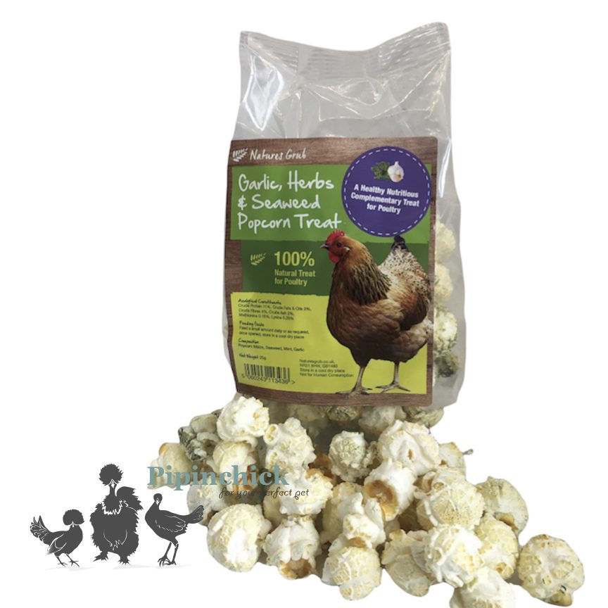Natures Grub Pop Corn Seaweed 1