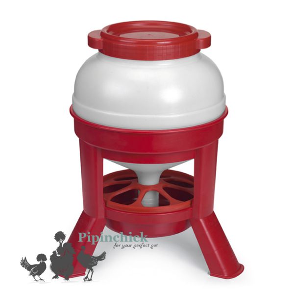 Guan Hopper 1